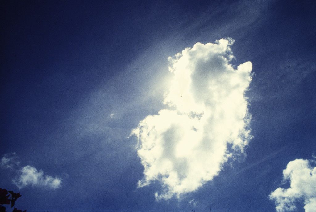 Frolic in the multiplex_1