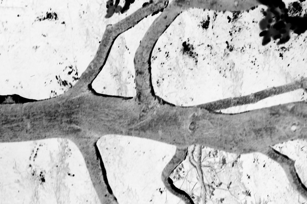 Frolic in the multiplex_2