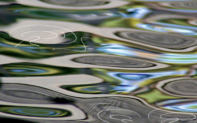 Frolic in the multiplex Modern human is called Homo Sapiens ‘the man who knows’ but what is it that we really know? 
We generate what we perceive as knowledge and meaning from subjective experience. This process is influenced by our senses, societal values, preconceptions and definitions. Knowledge is ultimately a human construct...